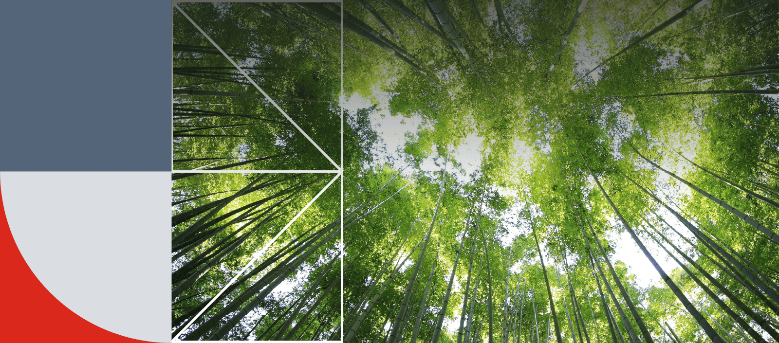 Header_Mercado Carbono_Insights