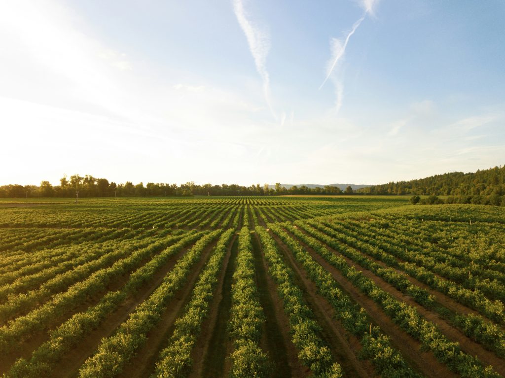 Impactos da Reforma Tributária no Agro